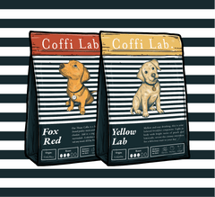 Lab Duo: Light-Medium