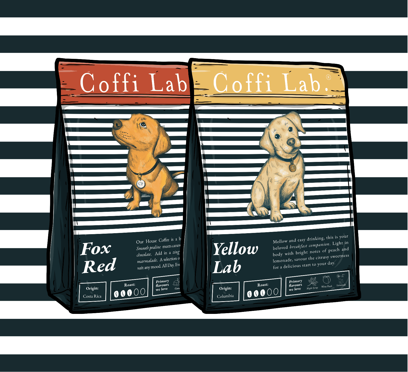 Lab Duo: Light-Medium