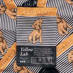 Lab Duo: Light-Medium