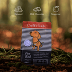Lab Duo: Light-Medium