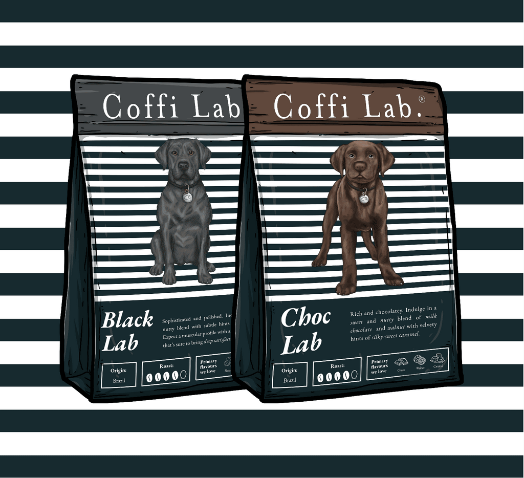 Lab Duo: Medium-Dark
