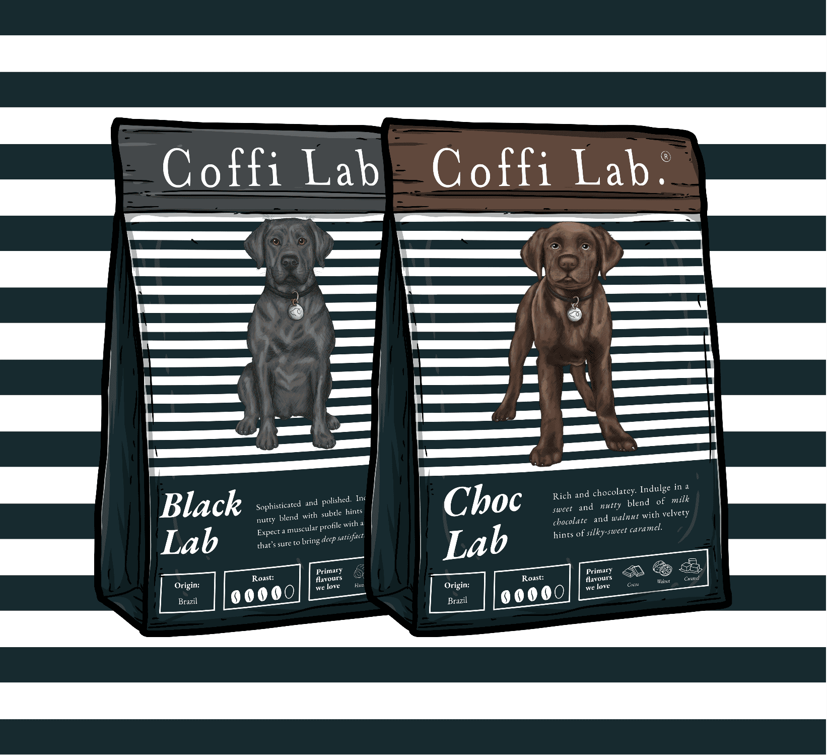 Lab Duo: Medium-Dark