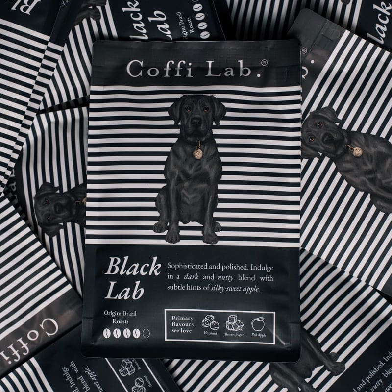 Lab Duo: Medium-Dark