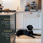 Lab Duo: Medium-Dark