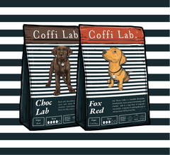 Lab Duo: Most Loved
