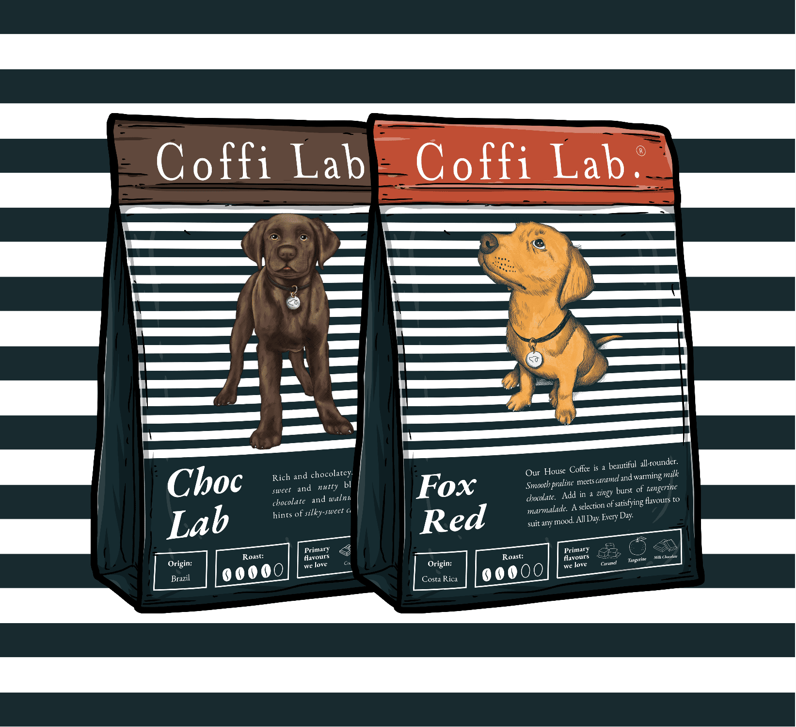 Lab Duo: Most Loved