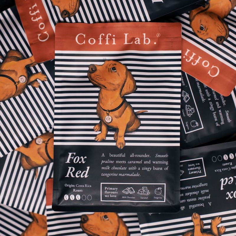 Lab Duo: Most Loved