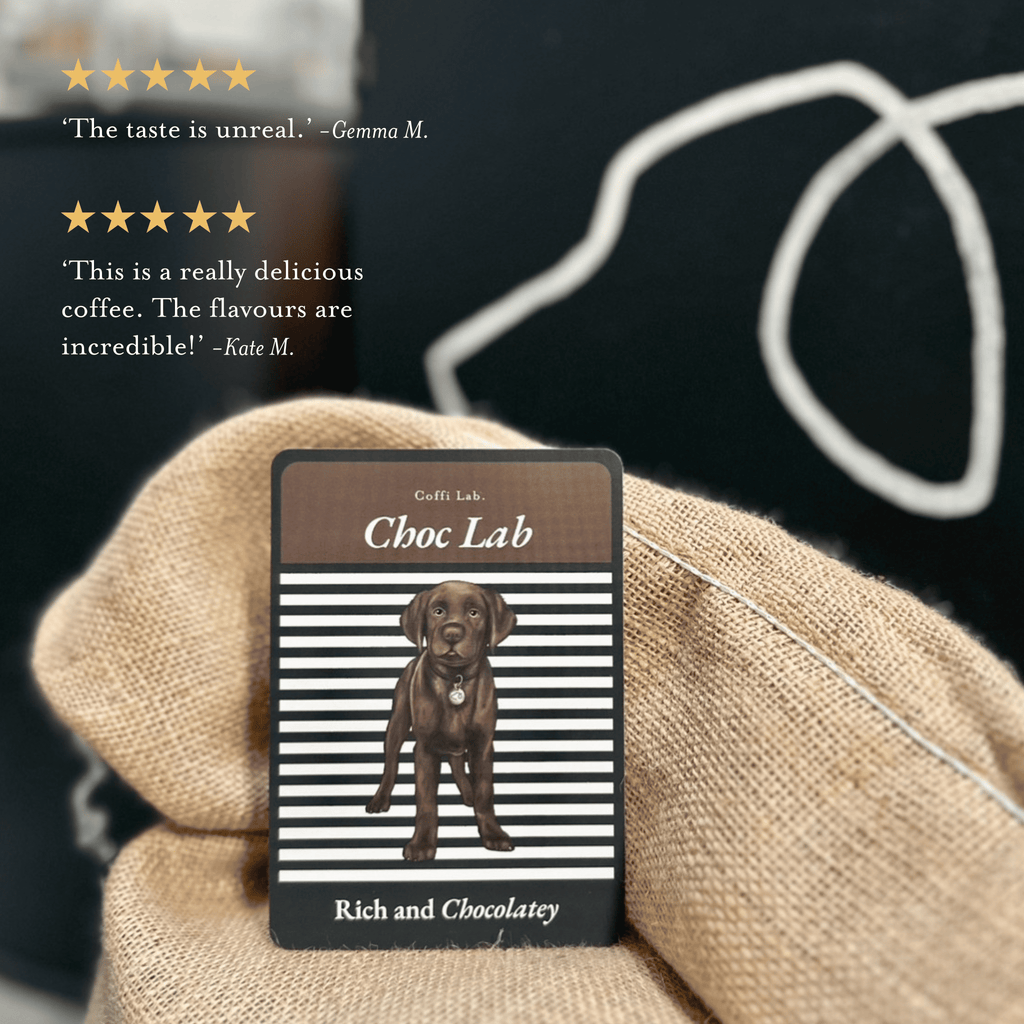 Lab Duo: Most Loved
