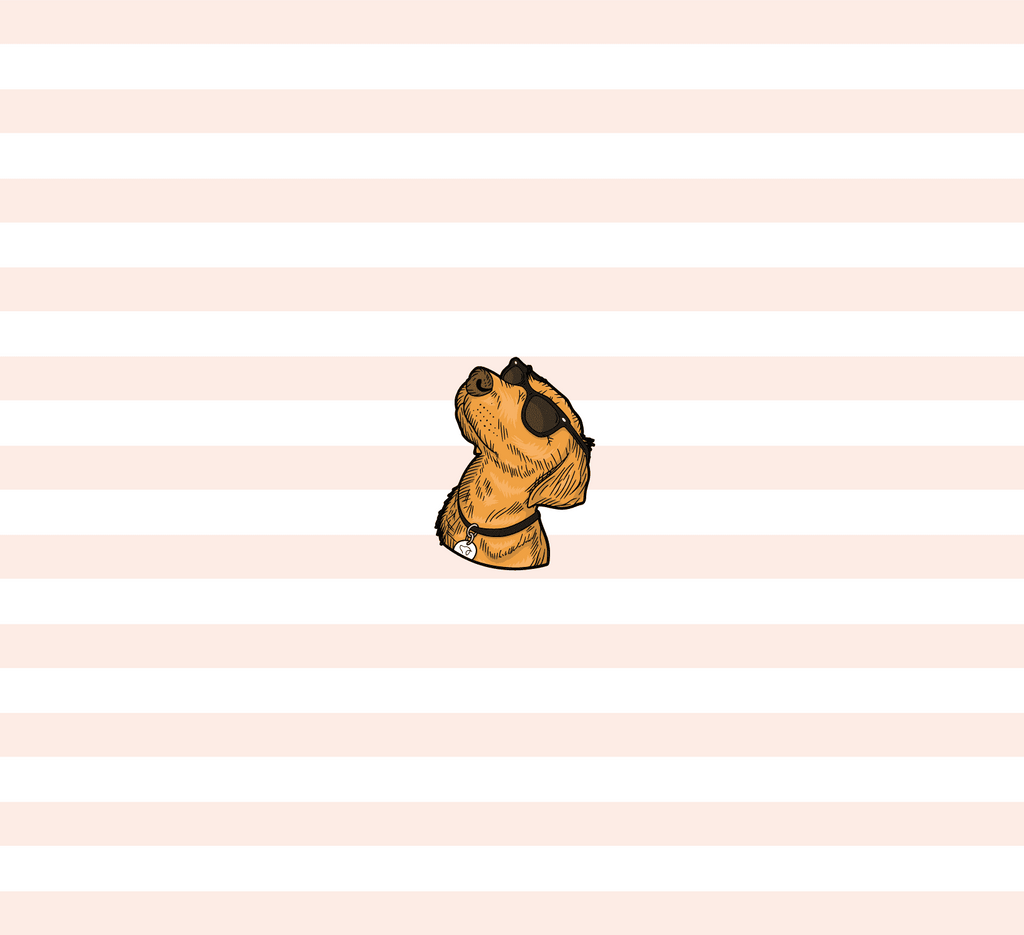 Lab Pin