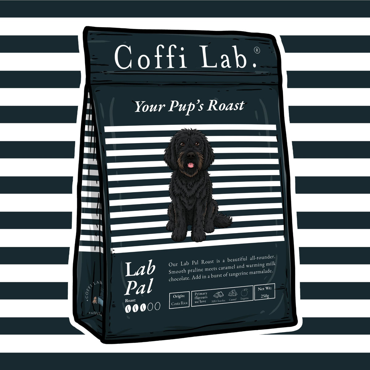 Lab Pal