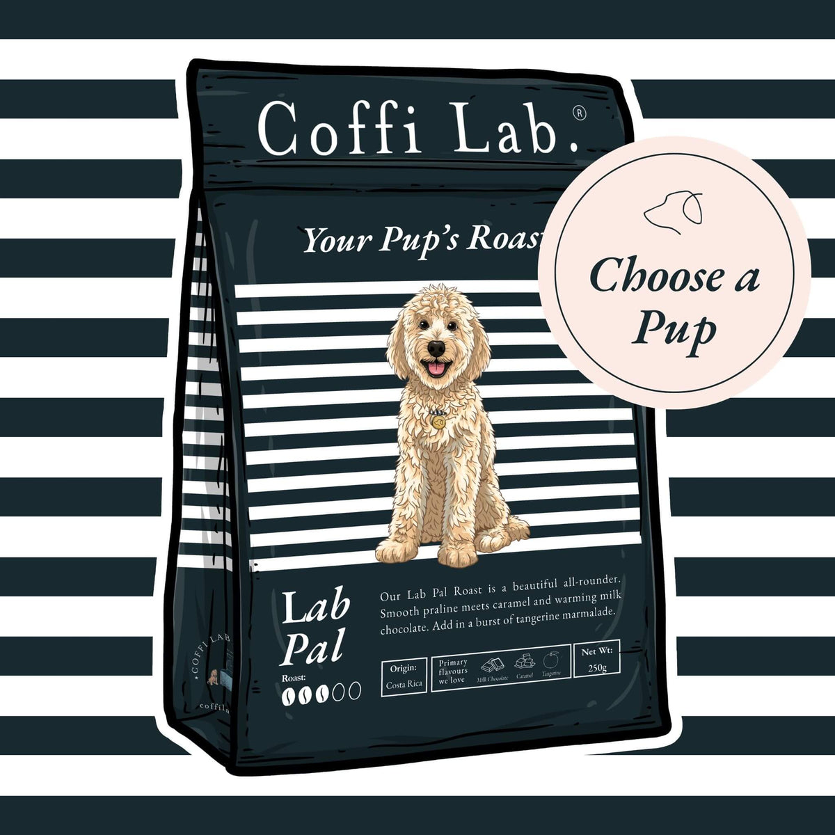 Lab Pal