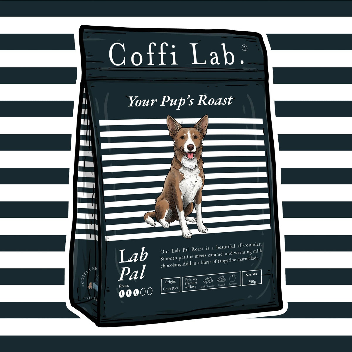 Lab Pal