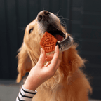 Party Biscuits