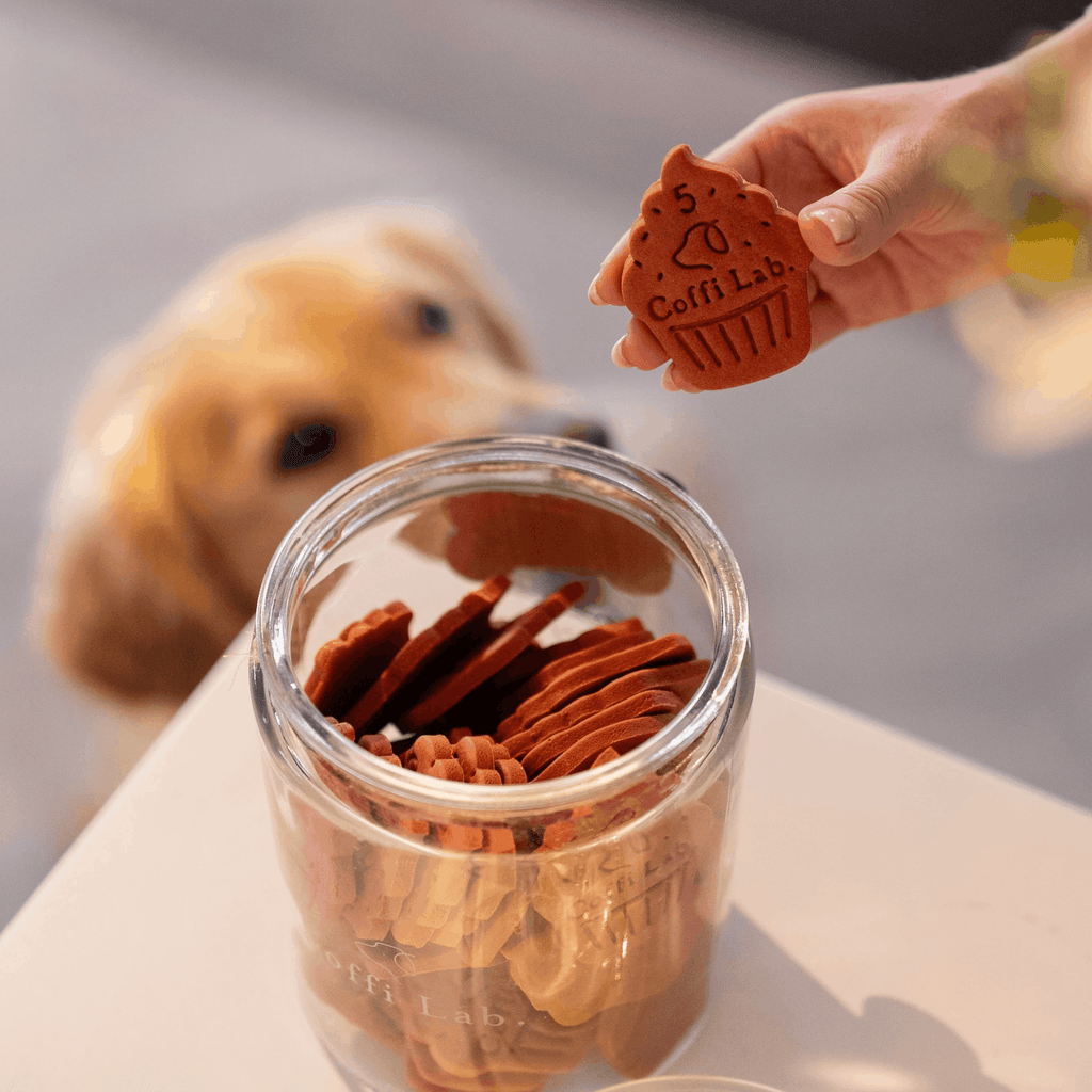 Party Biscuits