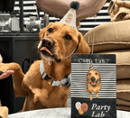 Party Lab
