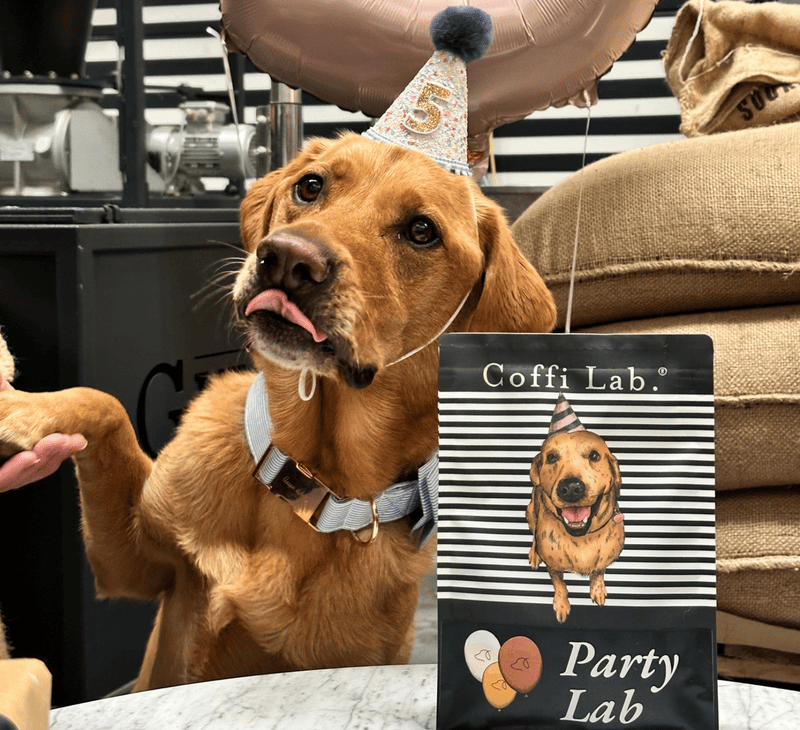 Party Lab
