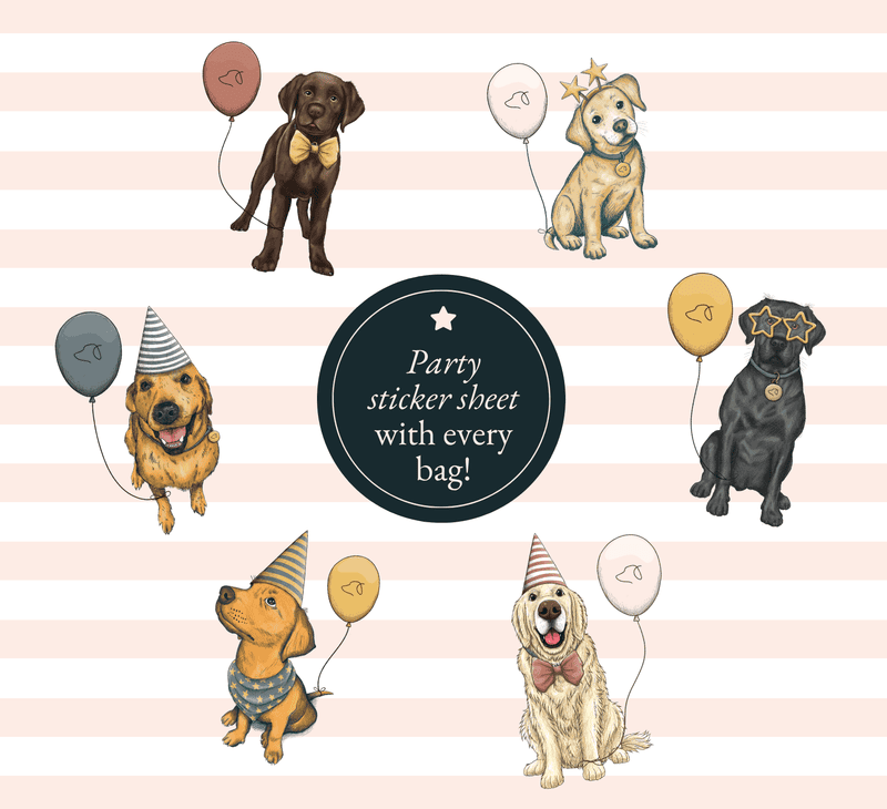Party Lab
