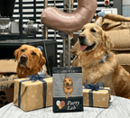 Party Lab