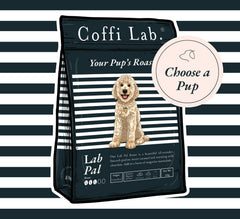 Pawsonalised Gift Subscription