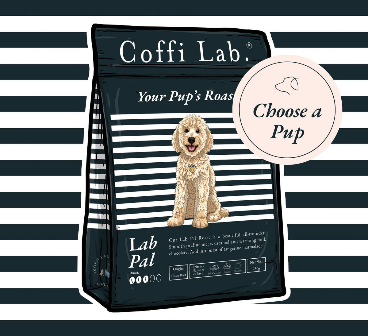 Pawsonalised Gift Subscription