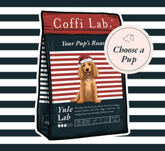 Yule Lab