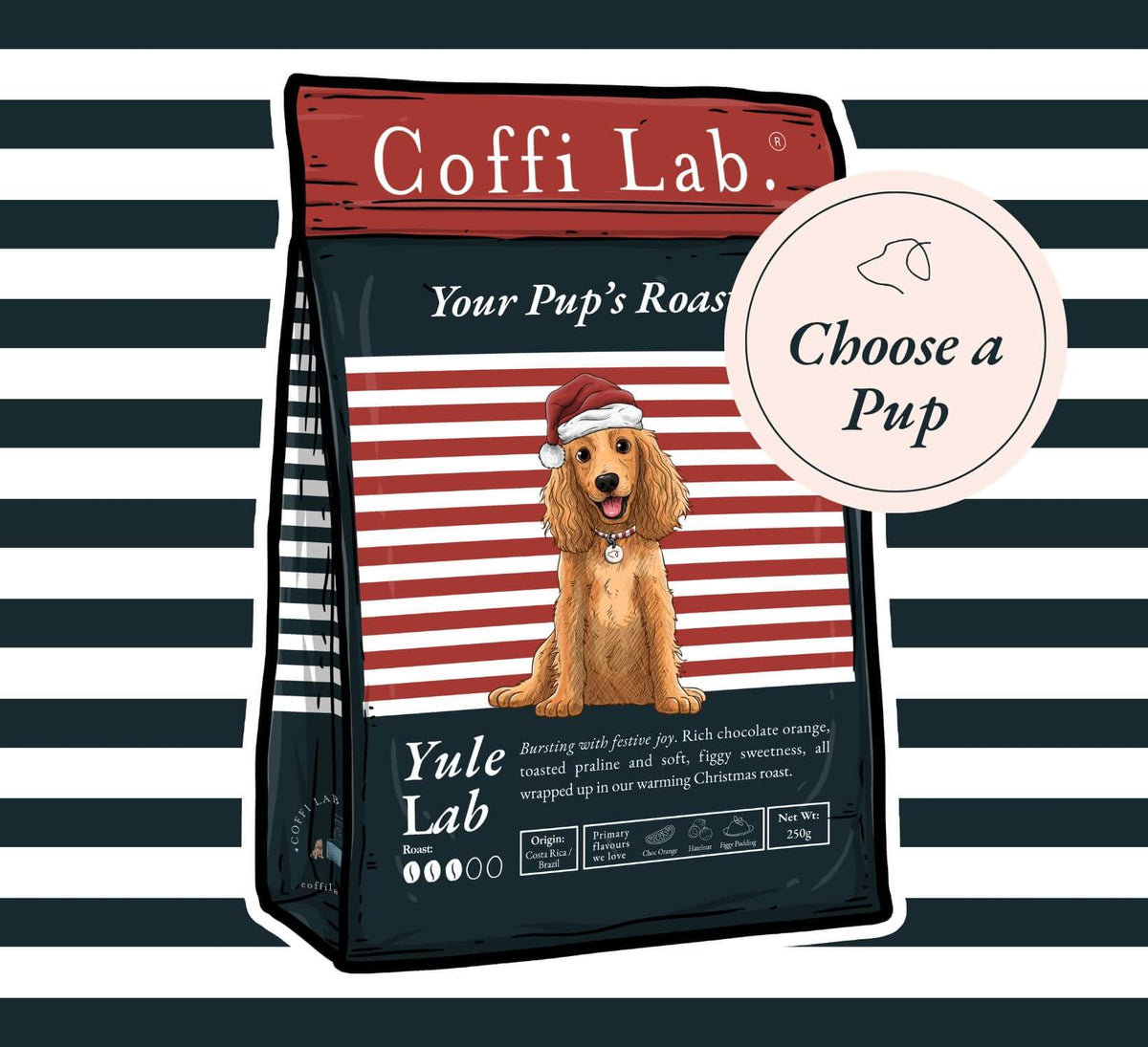 Yule Lab