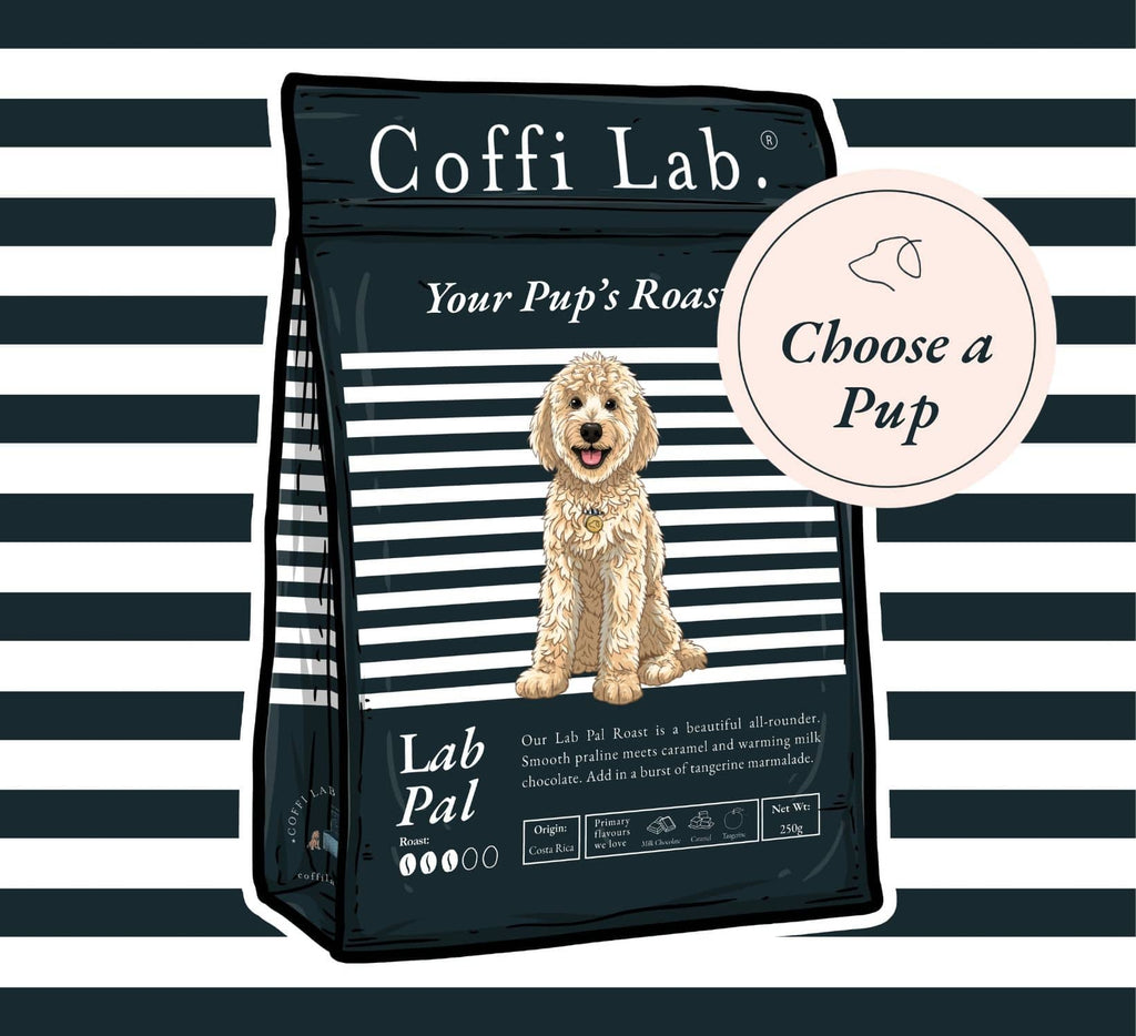 Lab Pal