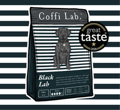 Black Lab