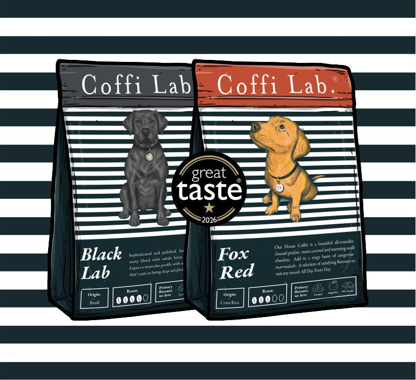 Lab Duo: Great Taste
