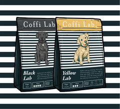 Lab Duo: Light & Dark