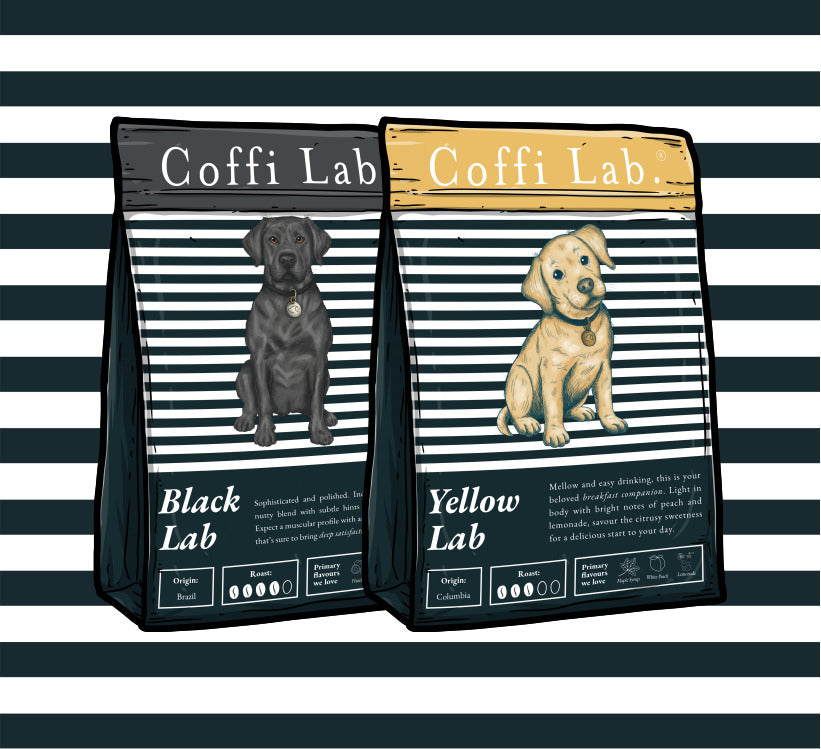 Lab Duo: Light & Dark