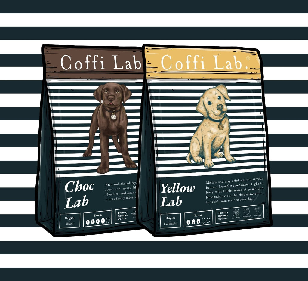 Lab Duo: Choc & Yellow