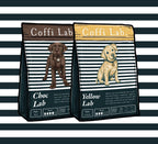 Lab Duo: Choc & Yellow