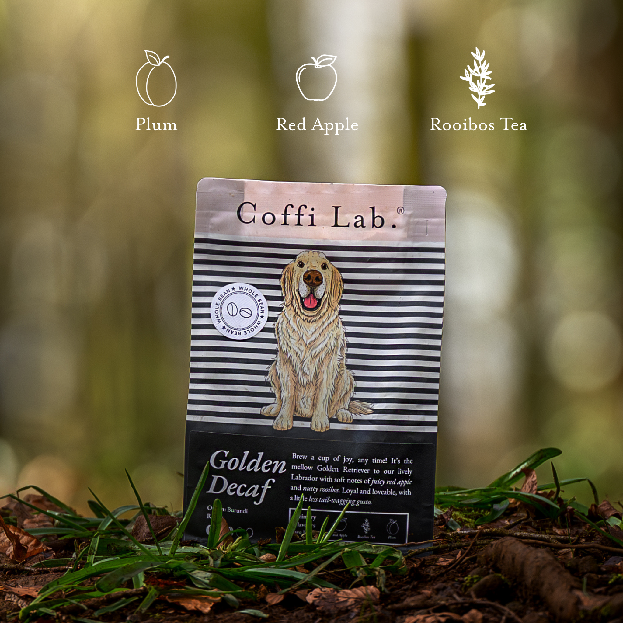 Golden Decaf