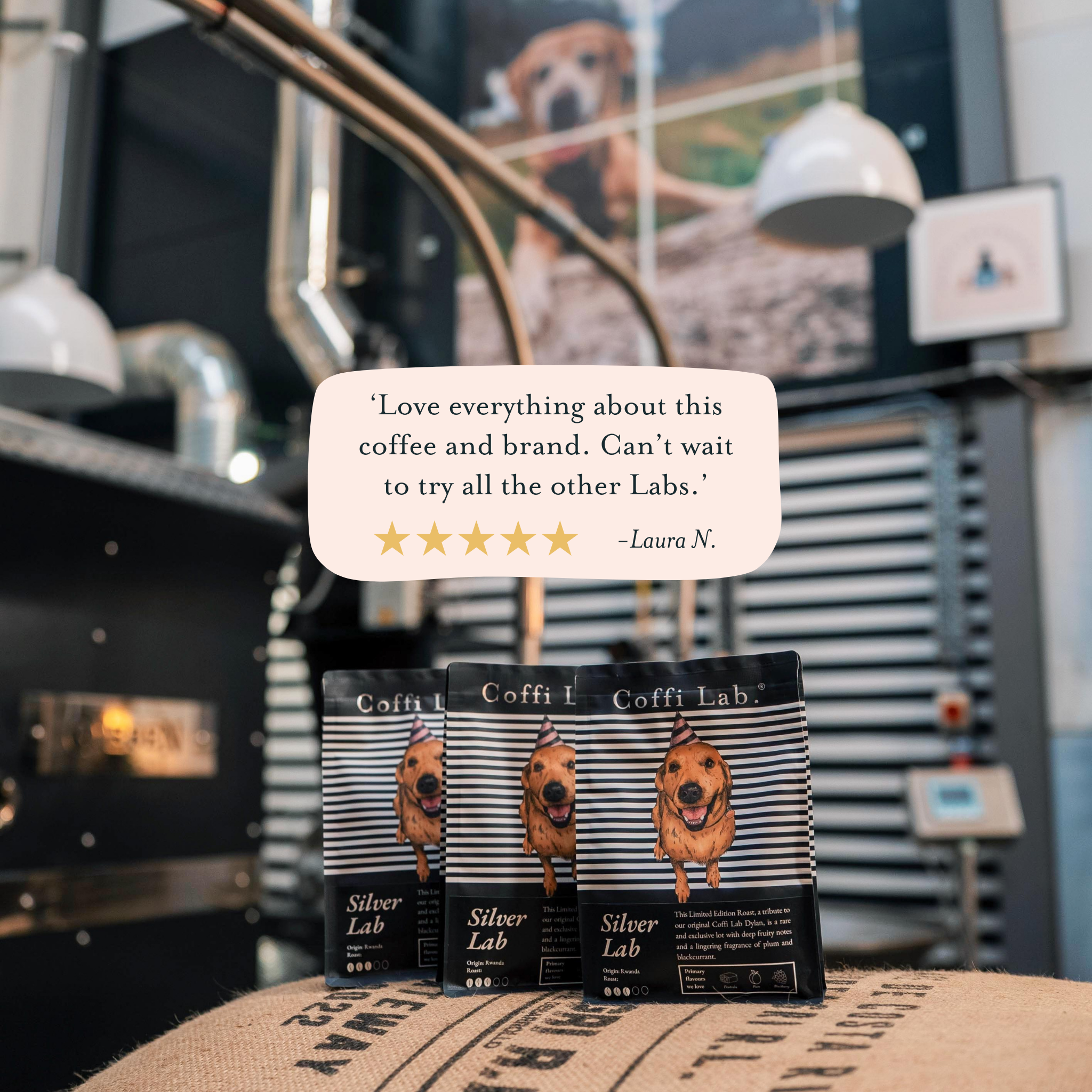 Silver Lab (Limited Edition) - Subscription