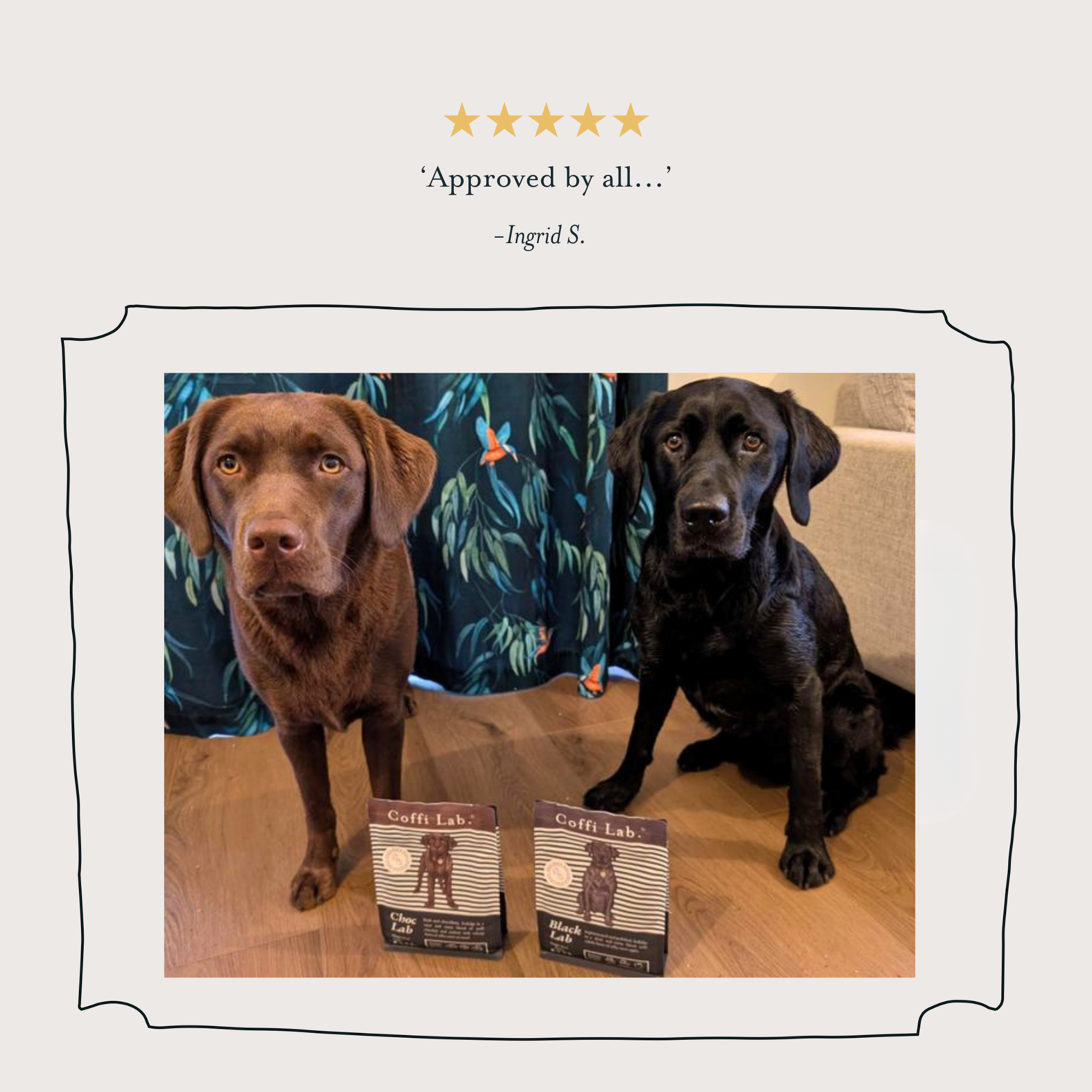 Lab Duo: Medium-Dark