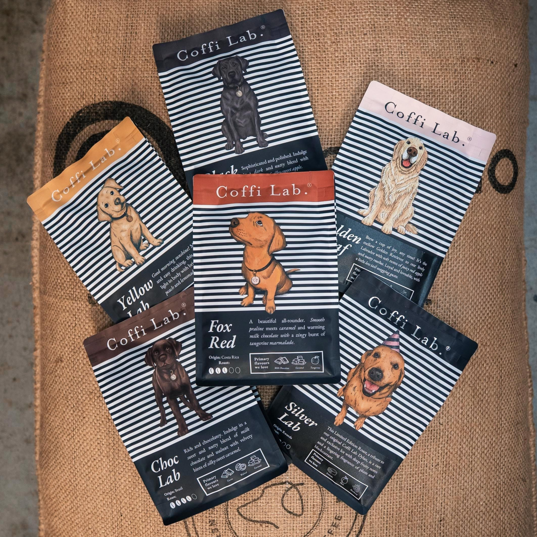 The Coffi Wanderer