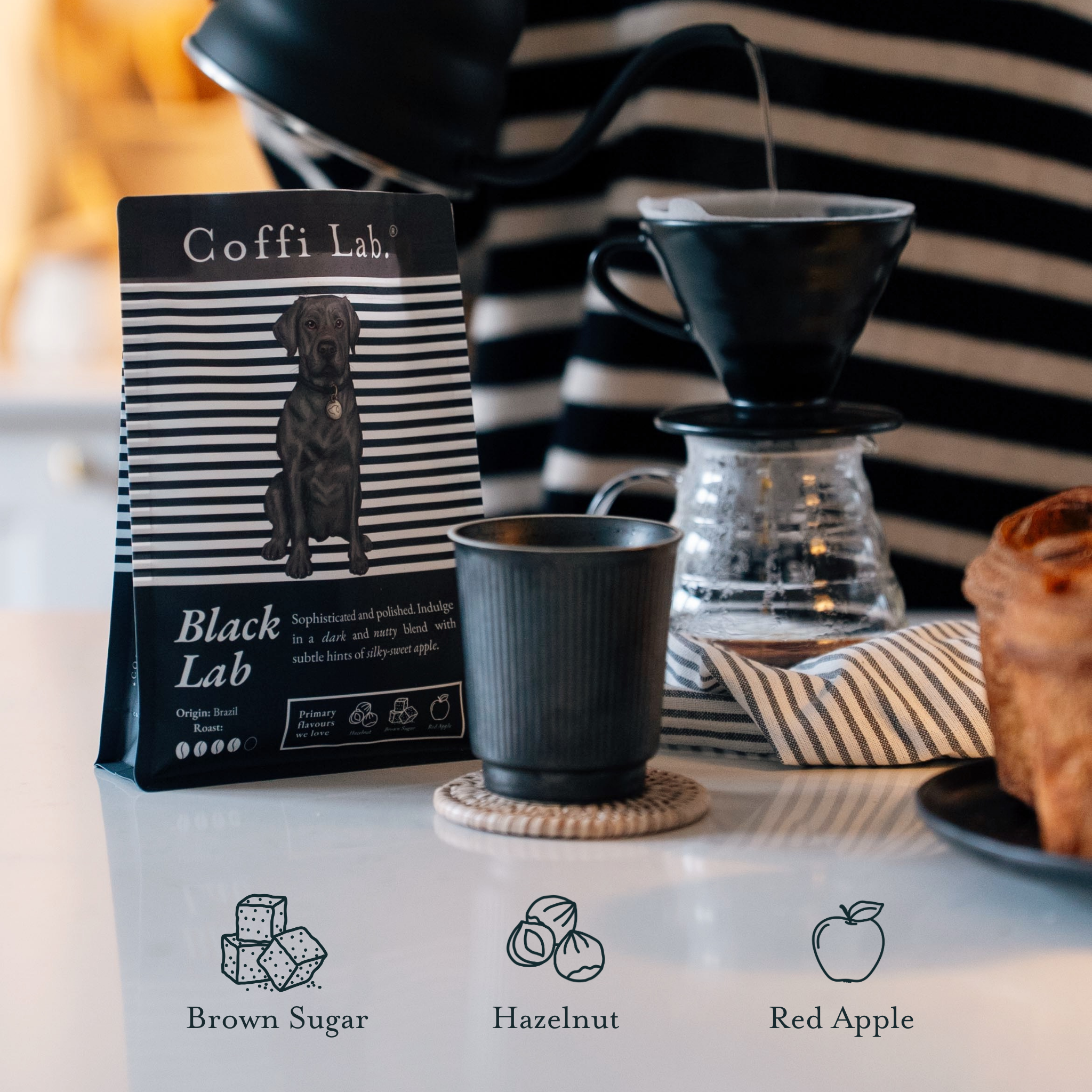 Lab Duo: Medium-Dark