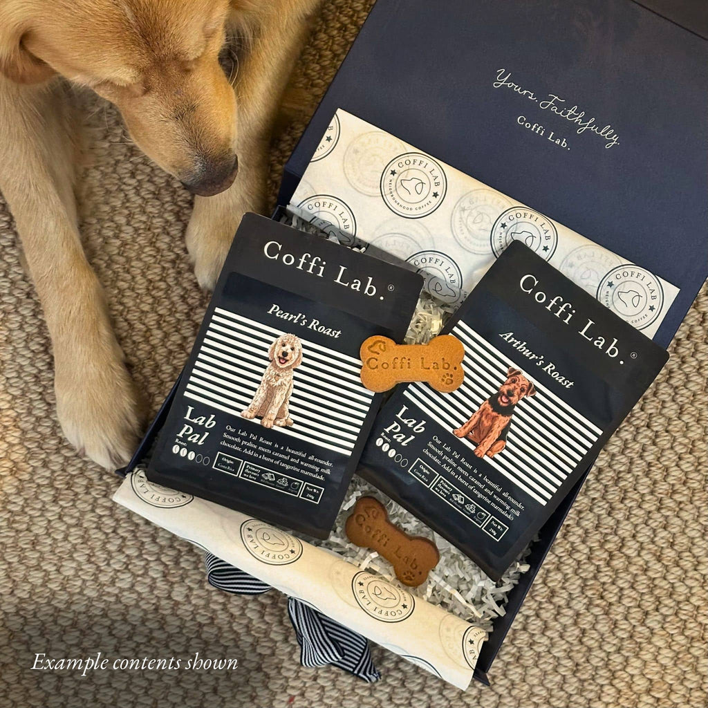 Signature Gift Box