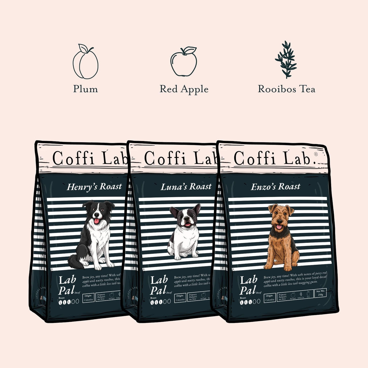 Lab Pal (Decaf)
