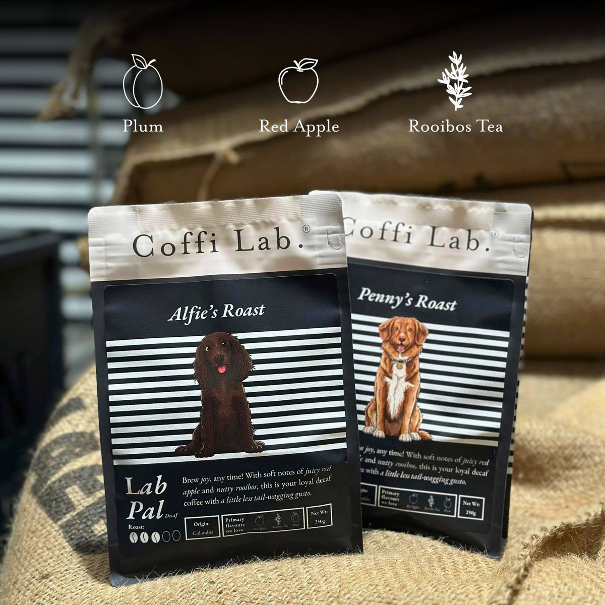 Lab Pal (Decaf)