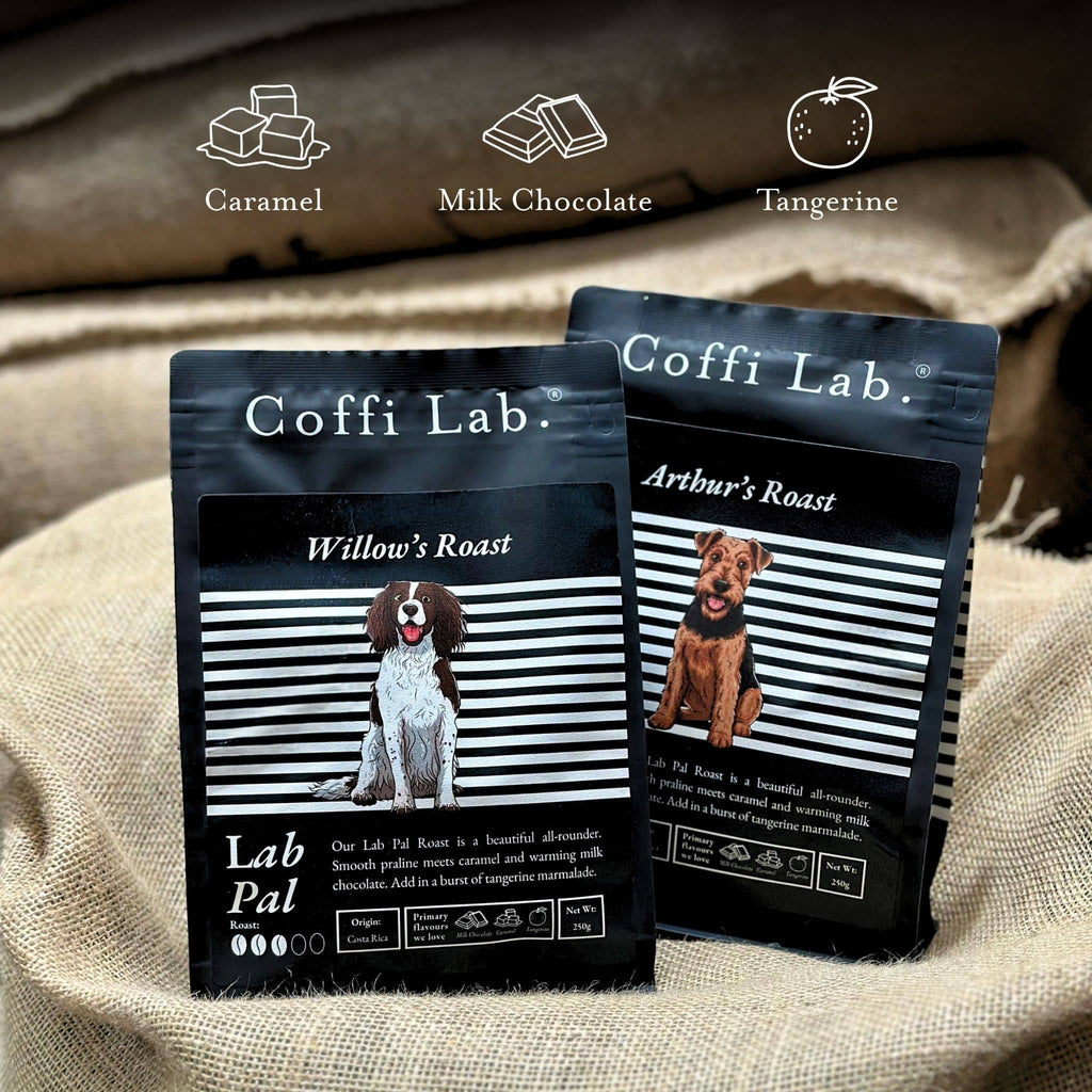 Lab Pal