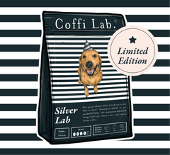 Silver Lab