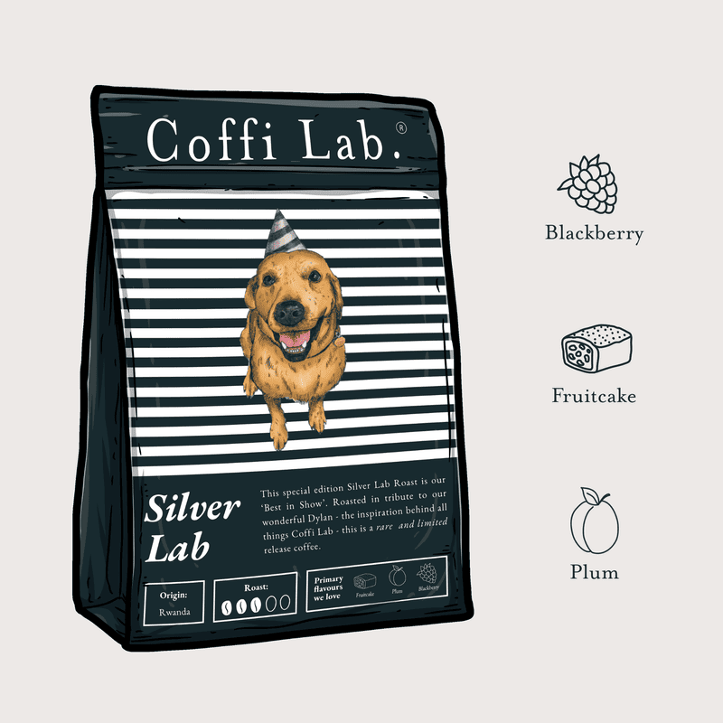 Silver Lab