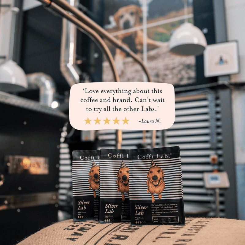 Silver Lab (Limited Edition) - Subscription