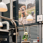 Silver Lab (Limited Edition) - Subscription