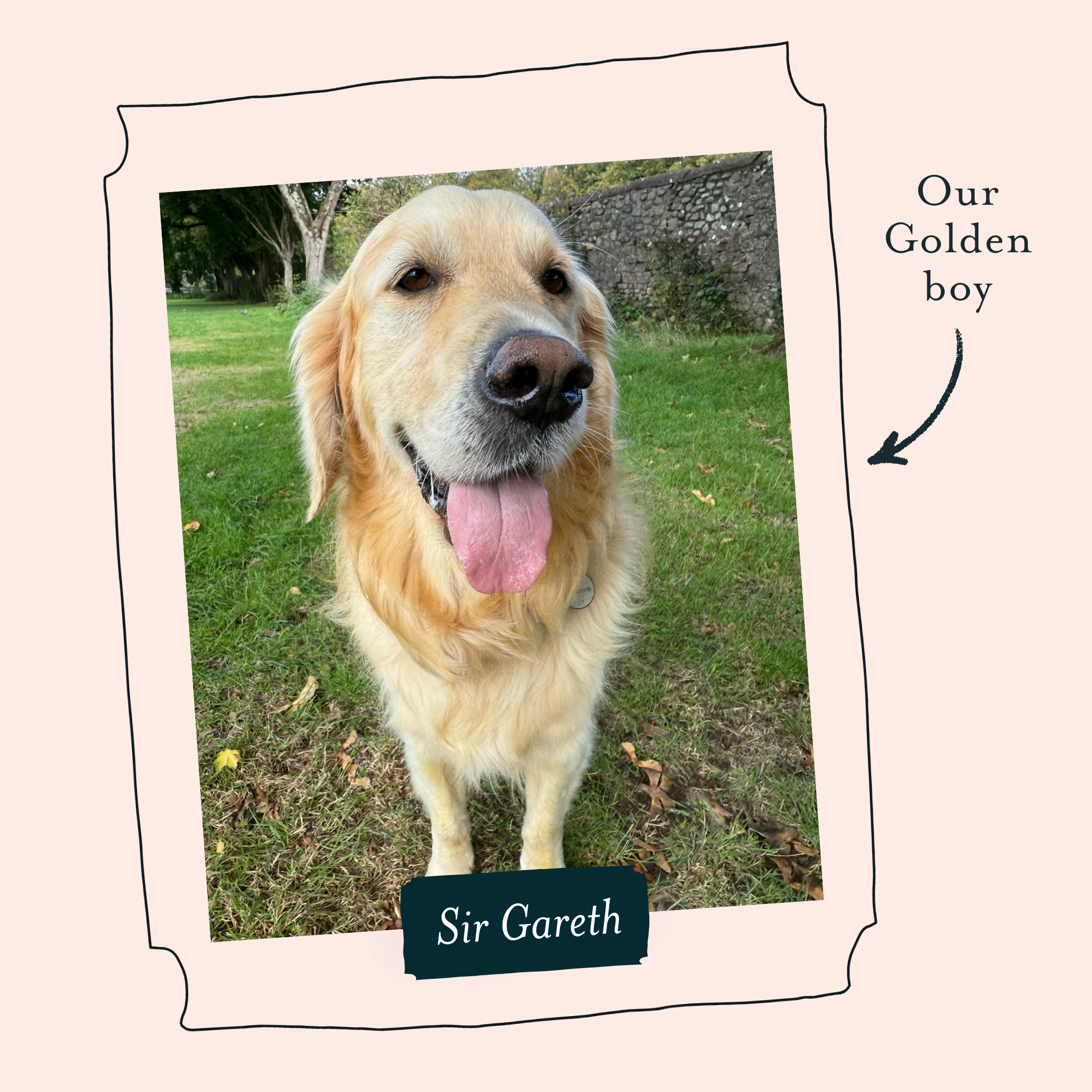 Golden Decaf