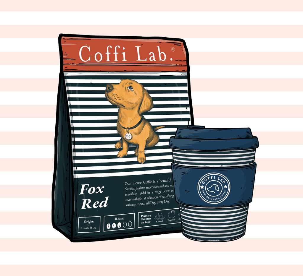The Coffi Wanderer