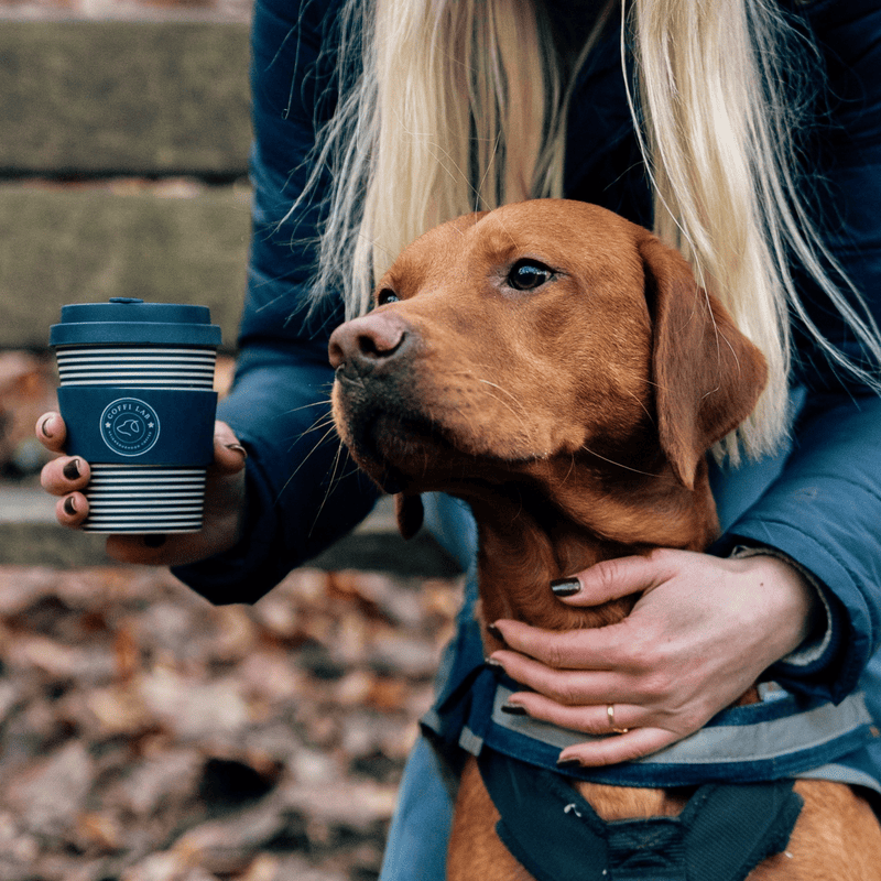 The Coffi Wanderer