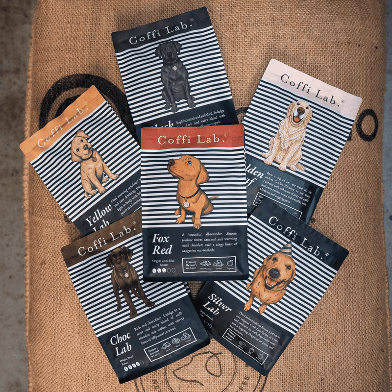The Coffi Wanderer